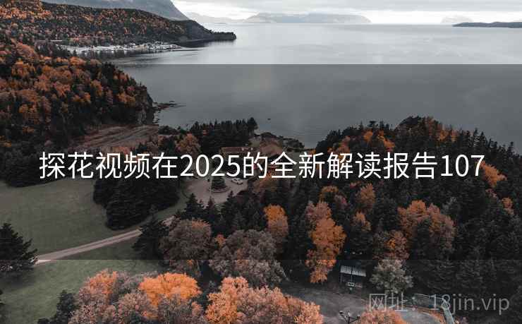 探花视频在2025的全新解读报告107