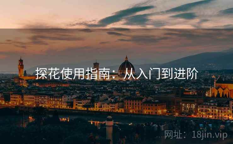 探花使用指南:从入门到进阶 探花使用指南:从入门到进阶