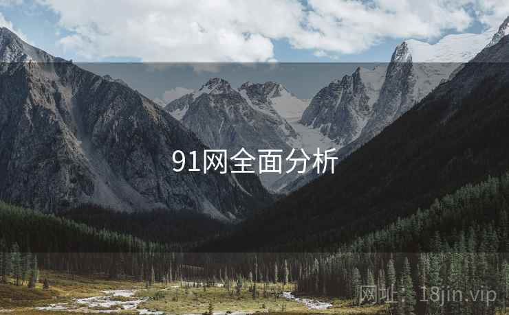 91网全面分析 91网全面分析