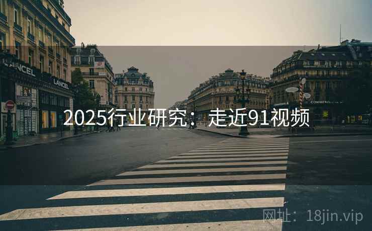 2025行业研究:走近91视频 2025行业研究:走近91视频