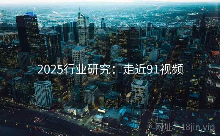 2025行业研究：走近91视频